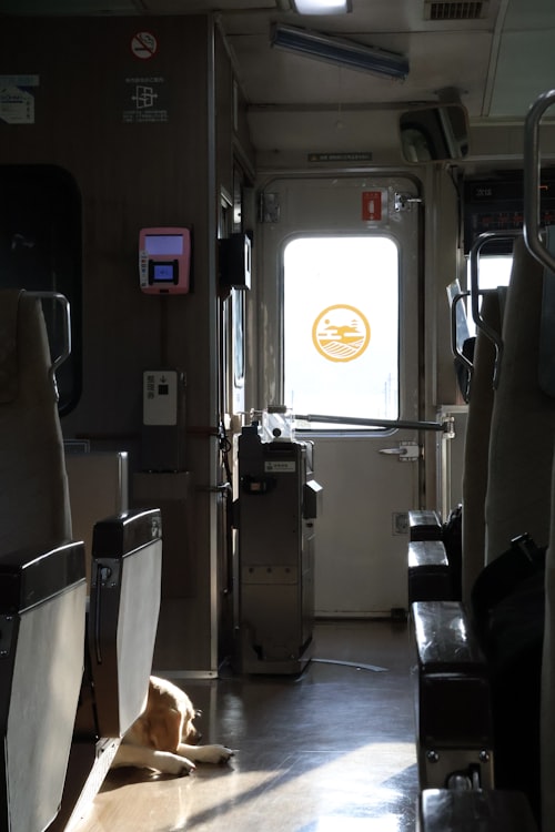 Travelling with Pets on UK Sleeper Trains in 2026: The Complete Booking Guide